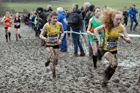 Girls under-15s 2018 British Inter Counties Cross Country Champs., Prestwold Hall, Loughborough. Photo: David T. Hewitson/Sports for All Pics